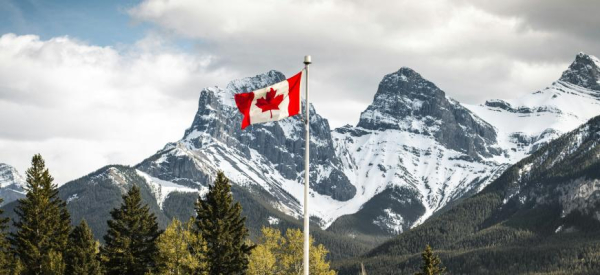 Канадская иммиграция застряла в ожидании решения по двум миллионам дел Канадская иммиграция застряла в ожидании решения по двум миллионам дел