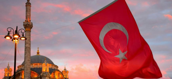 Турция аннулирует более 400 «золотых паспортов» Турция аннулирует более 400 «золотых паспортов»