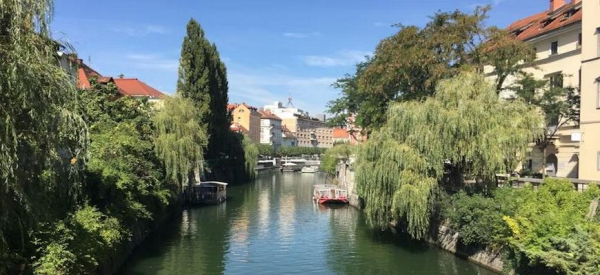 Словенская недвижимость: инвестировать с прибылью до 30% без открытия компании – как это работает Словенская недвижимость: инвестировать с прибылью до 30% без открытия компании – как это работает