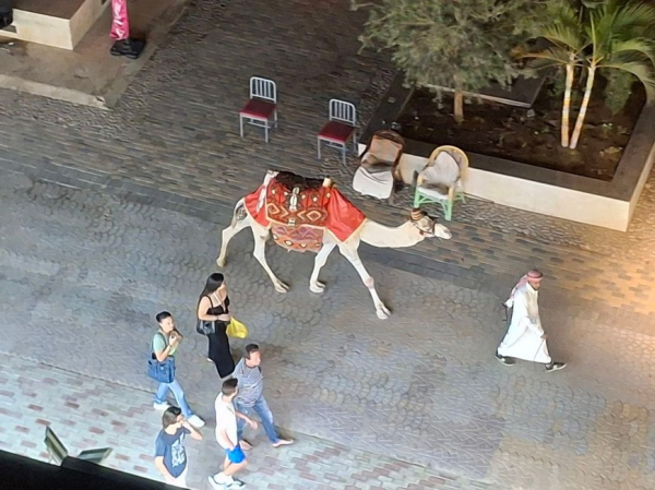 Очень дешевая недвижимость Египта &ndash; шанс и риск одновременно&nbsp;