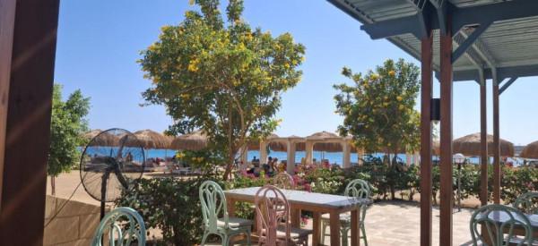 Очень дешевая недвижимость Египта &ndash; шанс и риск одновременно&nbsp;