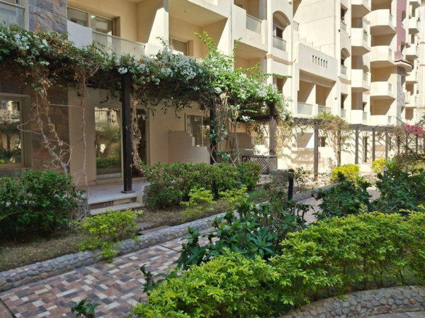 Очень дешевая недвижимость Египта &ndash; шанс и риск одновременно&nbsp;